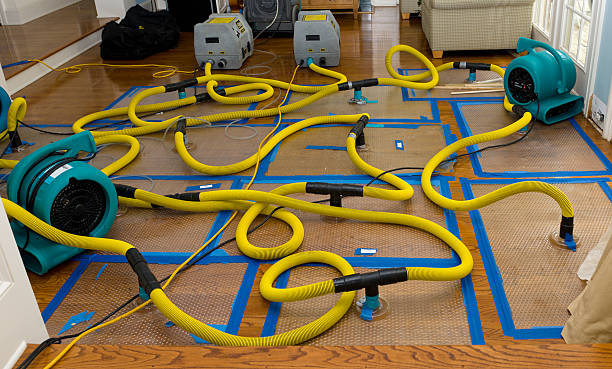 Professional Flood Damage Restoration technician working in Huntington, TX